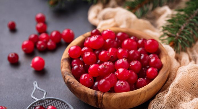 แครนเบอร์รี่ (cranberry) คืออะไร